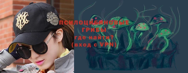 прущие грибы Кукмор