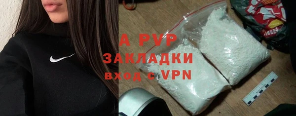 прущие грибы Кукмор