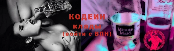 прущие грибы Кукмор