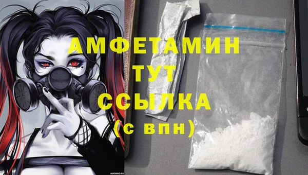прущие грибы Кукмор