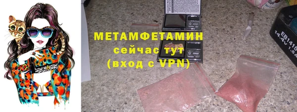 прущие грибы Кукмор