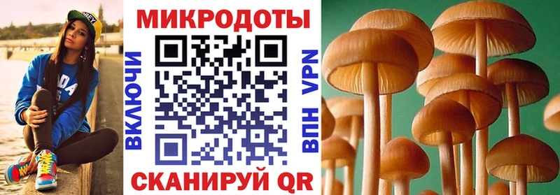 Купить где  Холм  Галлюциногенные грибы мухоморы 